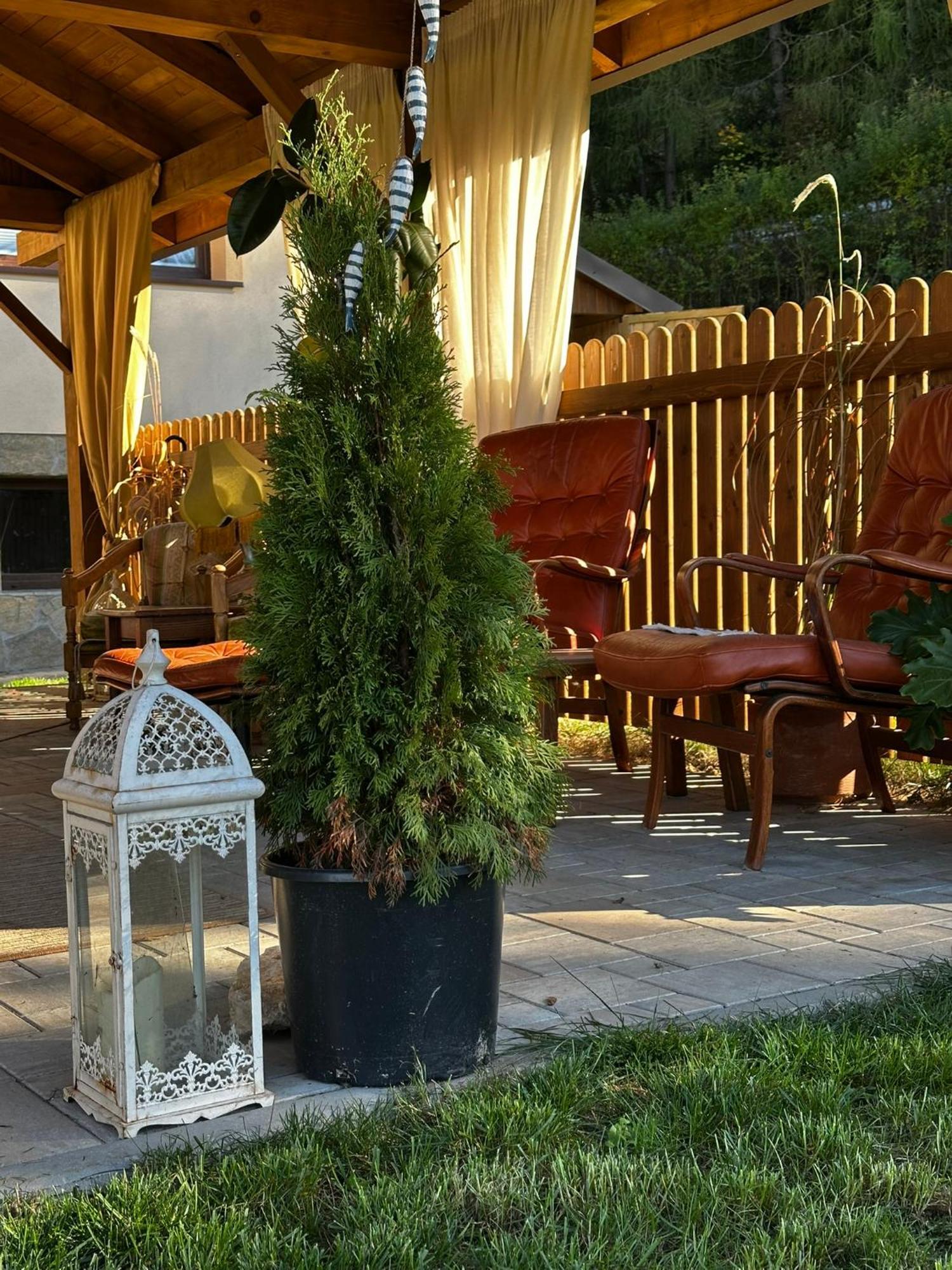 Hotel Gosciniec Stara Szkola Haluszowa Esterno foto